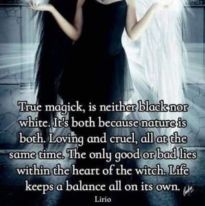 Meet your Posher, Stephen